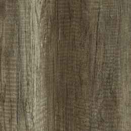 Canyon Oak 765